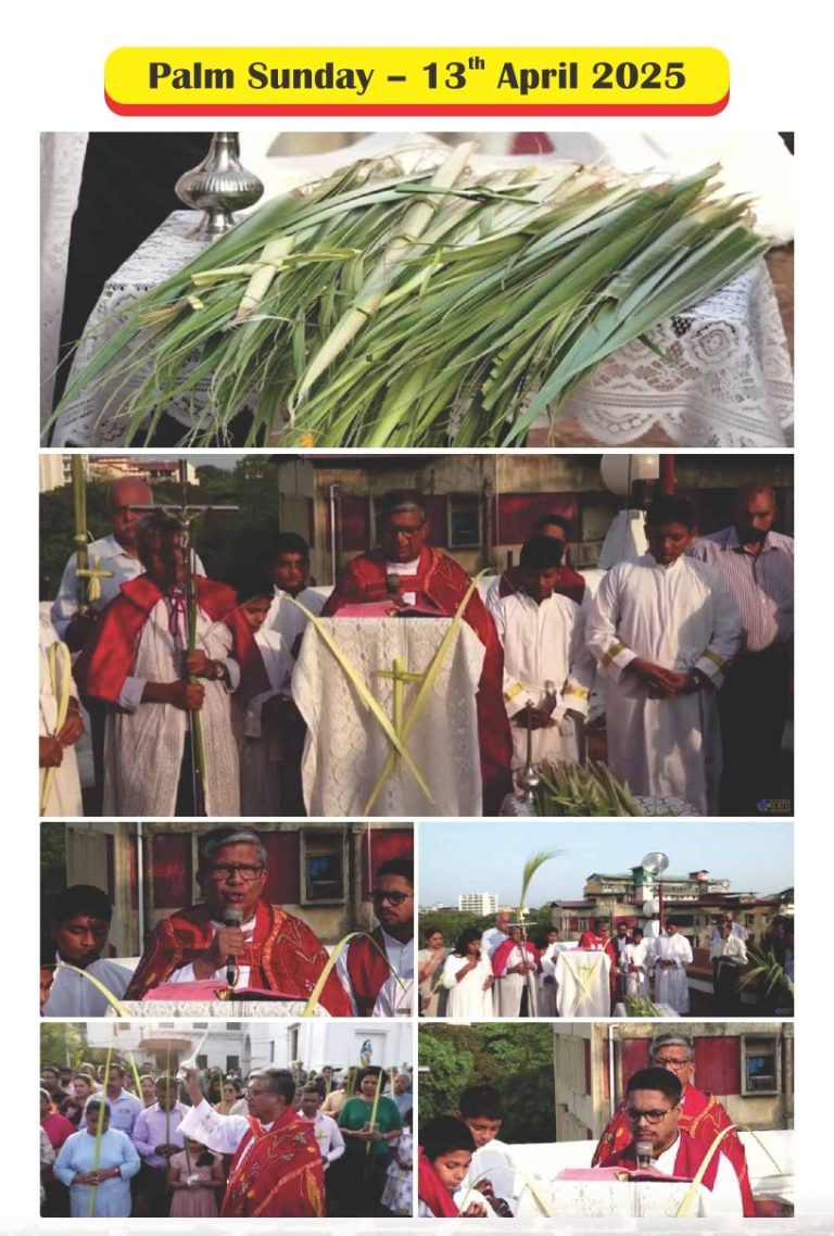 Palm Sunday Steps May 2025 a